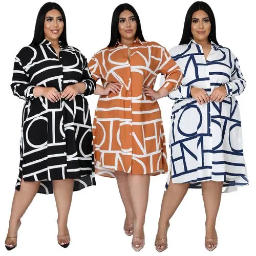 Swing Dress Casual Simple Style Turndown Long Sleeve Printing Midi Dress Daily