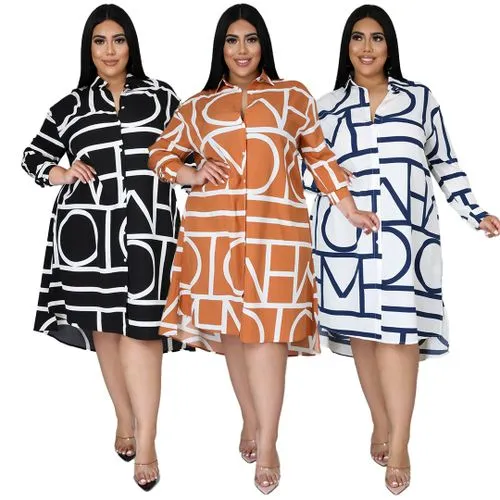 Swing Dress Casual Simple Style Turndown Long Sleeve Printing Midi Dress Daily